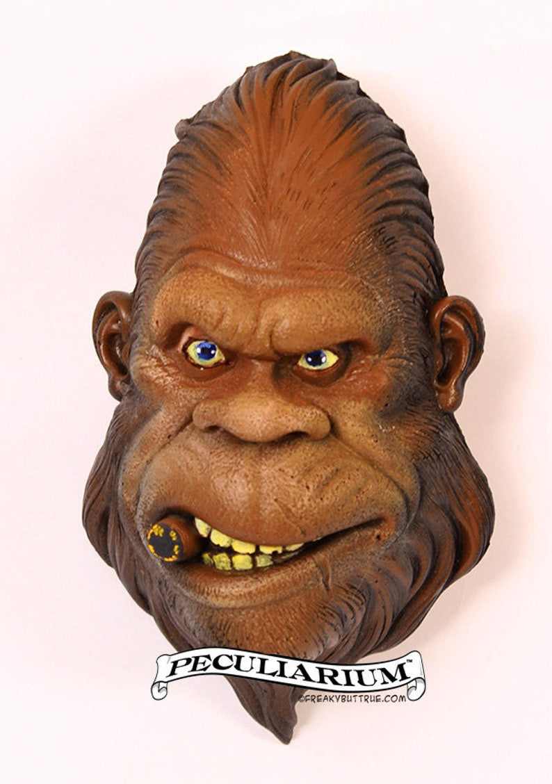 This is a sculpt of Mr. Theloneious Biggie Foot. Bigfoot to the media, or Sasquatch. This is an amazing bust of Biggie chewing on a cigar. It's stone cast from an original sculpt by master sculptor Colin Batty and each is individually hand painted. Thus, each one is a little different. It's about 6.5 inches from the top of head to the bottom of his beard. Get yours today!