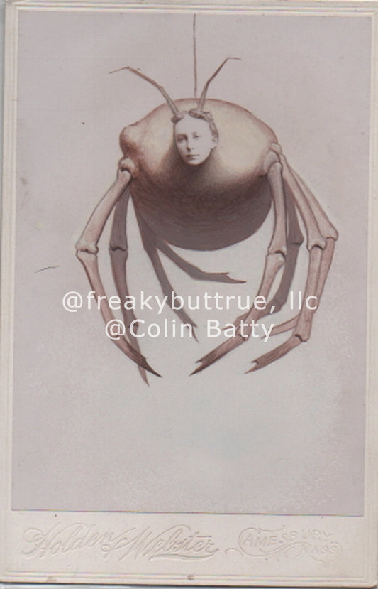 Original Cabinet Card - CC220 Big Spider with Woman's Head
