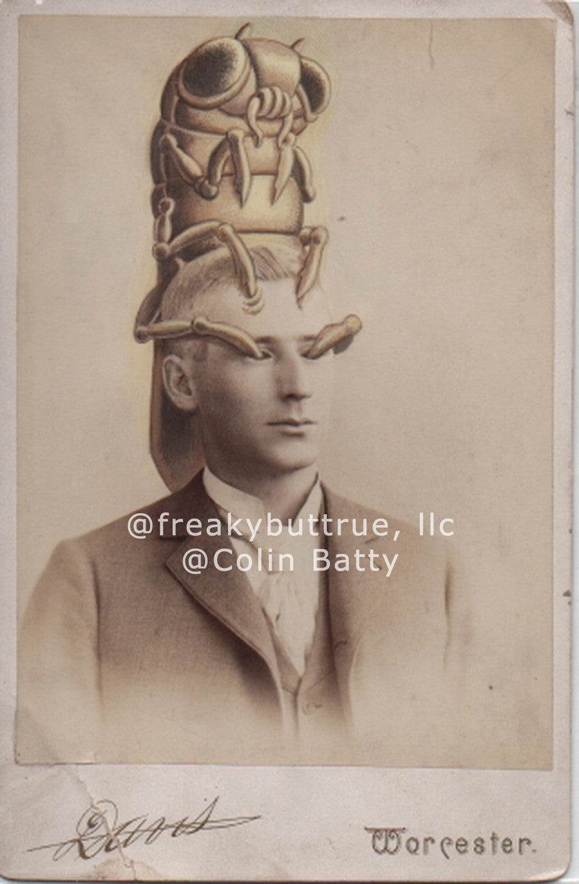 Bug Gouging Out Man's Eyes Print by Colin Batty