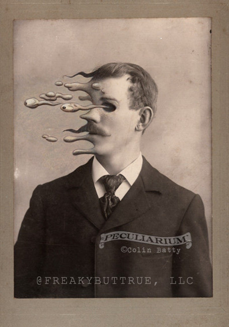 Colin has contributed to Freakybuttrue and the Peculiarium for many years and graces this site with his amazing work.
