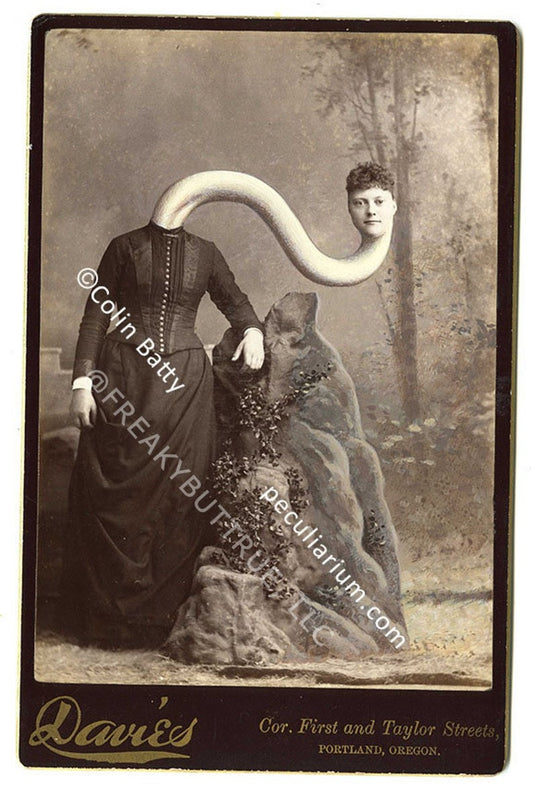 Colin Batty has contributed to Freakybuttrue and the Peculiarium for many years and graces this site with his amazing work.