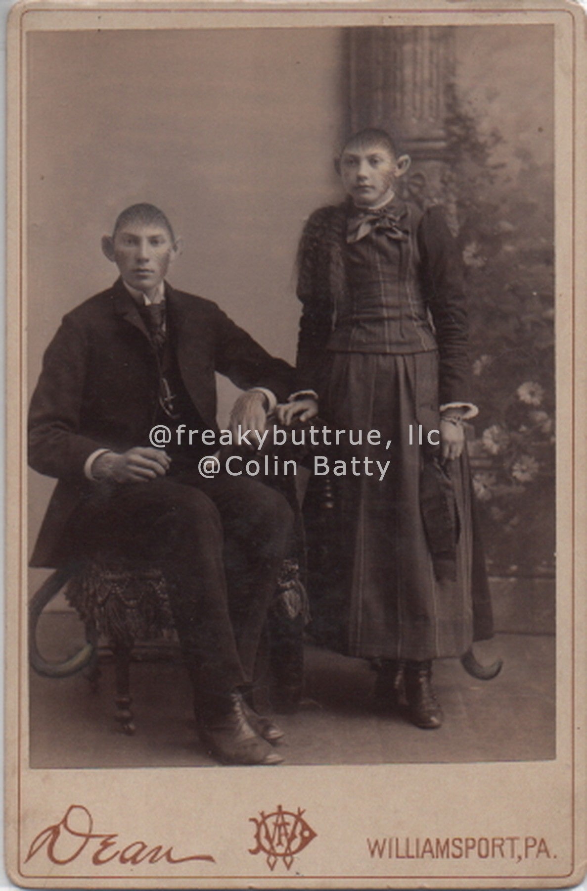 Original Cabinet Card - CC034 Politesse and Primate Instinct