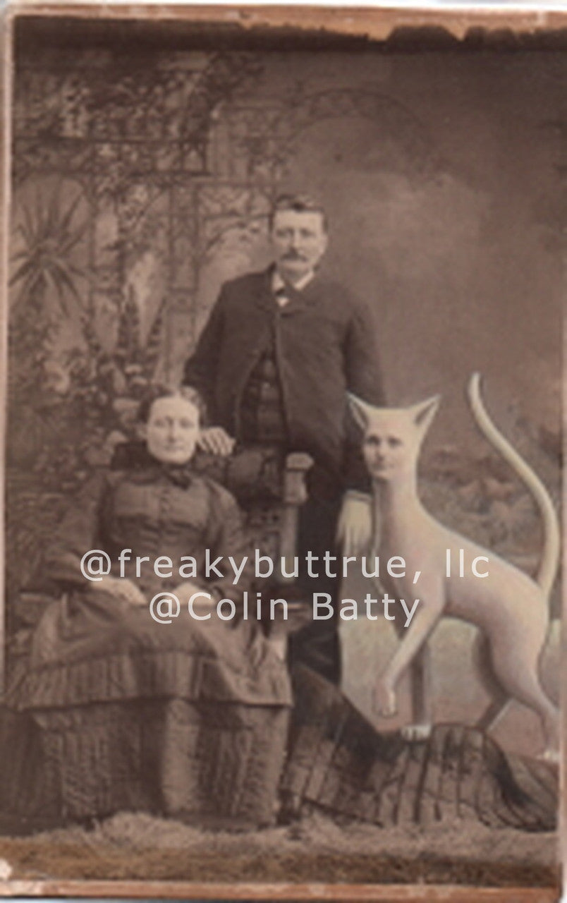 Couple with Tall Cat Lady Print by Colin Batty