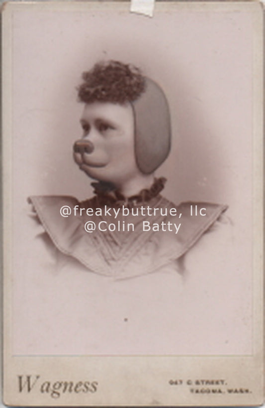 Original Cabinet Card - CC084 Dog Face Woman