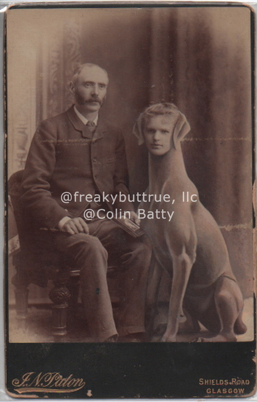 Dog Lady Print by Colin Batty