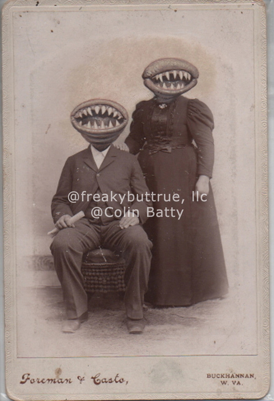 Fanged Plant Couple Print by Colin Batty