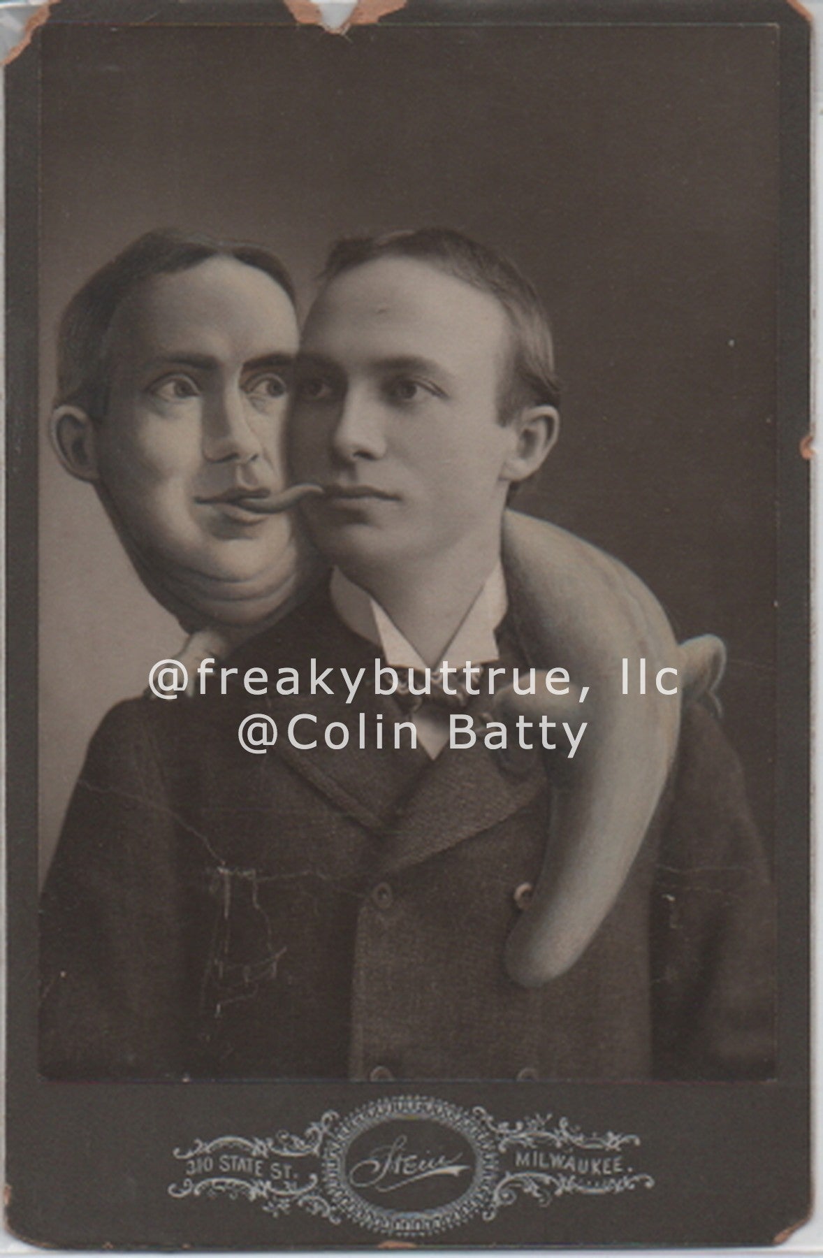 Original Cabinet Card - CC044 Lizard Twin