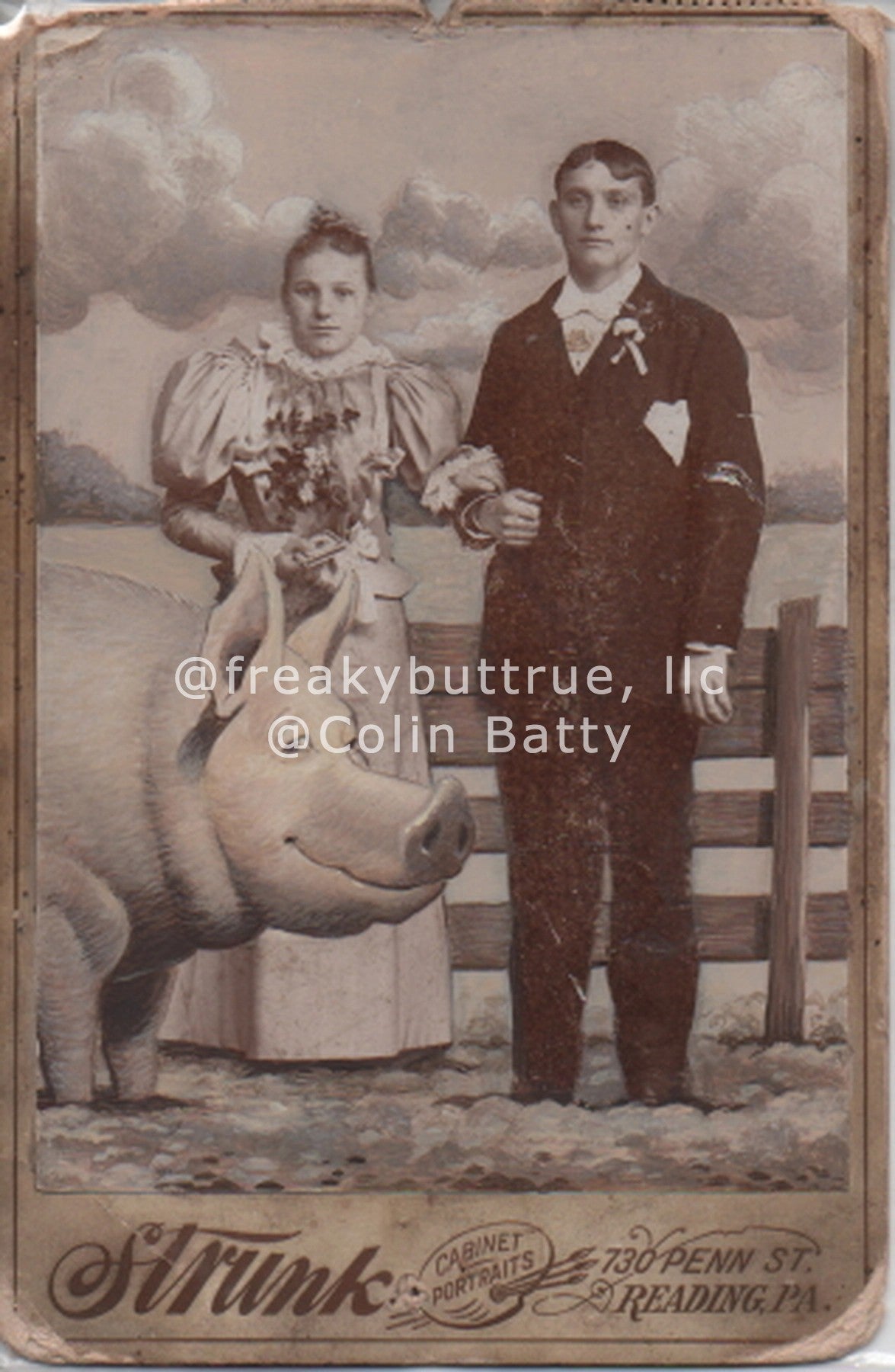 Original Cabinet Card - CC206 Man Wife and Pig