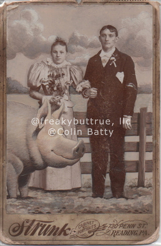 Man, Wife, and Pig Print by Colin Batty