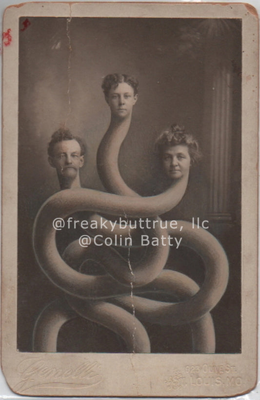 Original Cabinet Card - CC186 Snake People