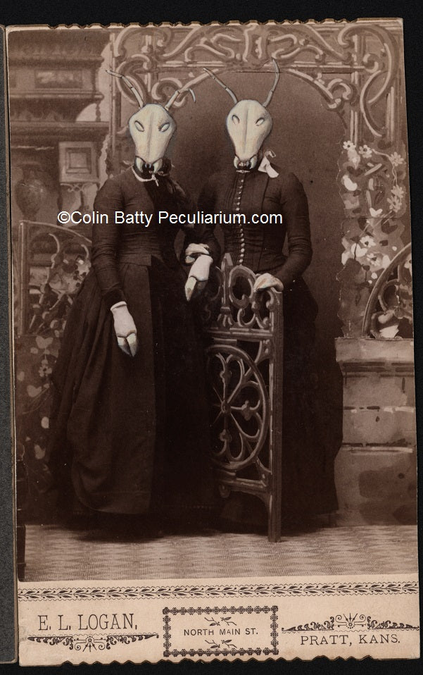 Original Cabinet Card - CC031 The Fateful Entomological Cotillion