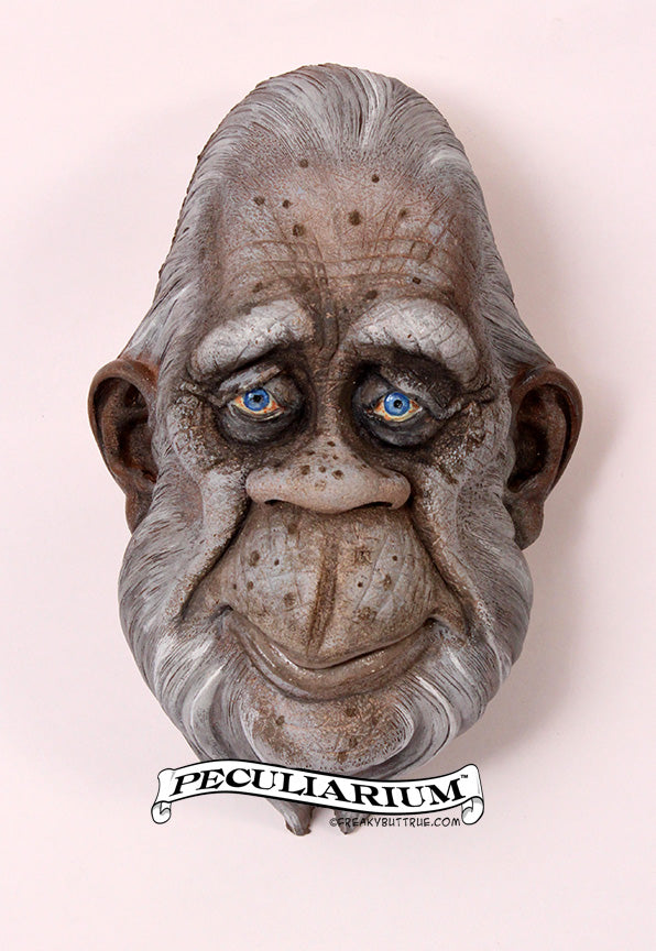 Plaster Wall Bust