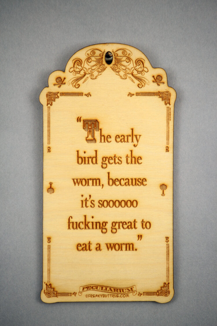 wall hanging quote boards cutout wood witty