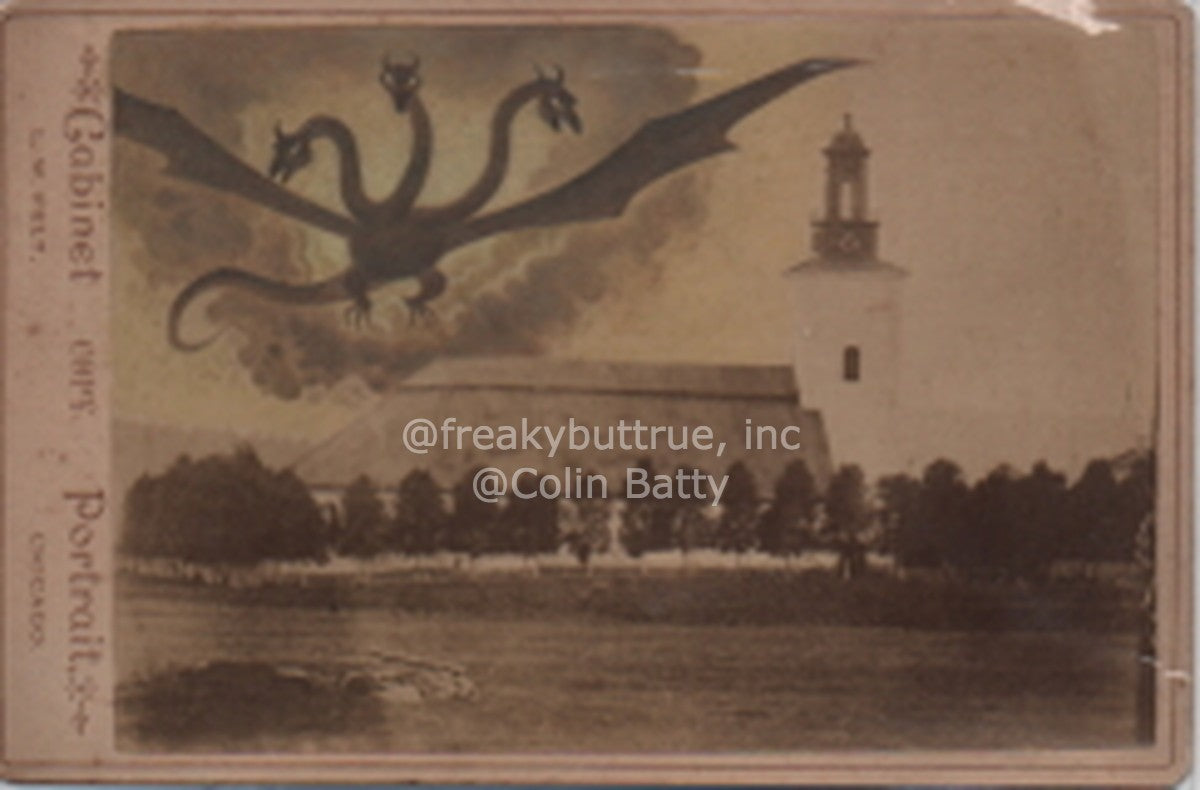 Original Cabinet Card - CC090 3 Headed Hydra – Freakybuttrue Peculiarium