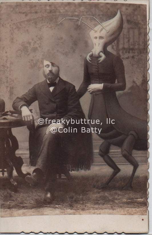 Original Cabinet Card - CC152 Bug Eat Half Head
