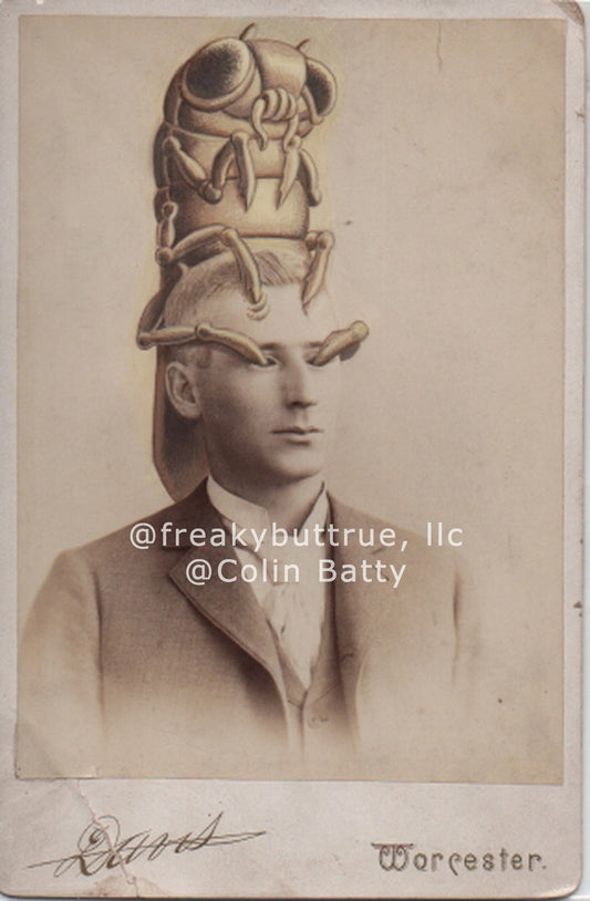 Bug Gouging Out Man's Eyes Print by Colin Batty