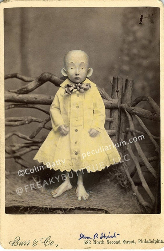 Colin Batty has contributed to Freakybuttrue and the Peculiarium for many years and graces this site with his amazing work.