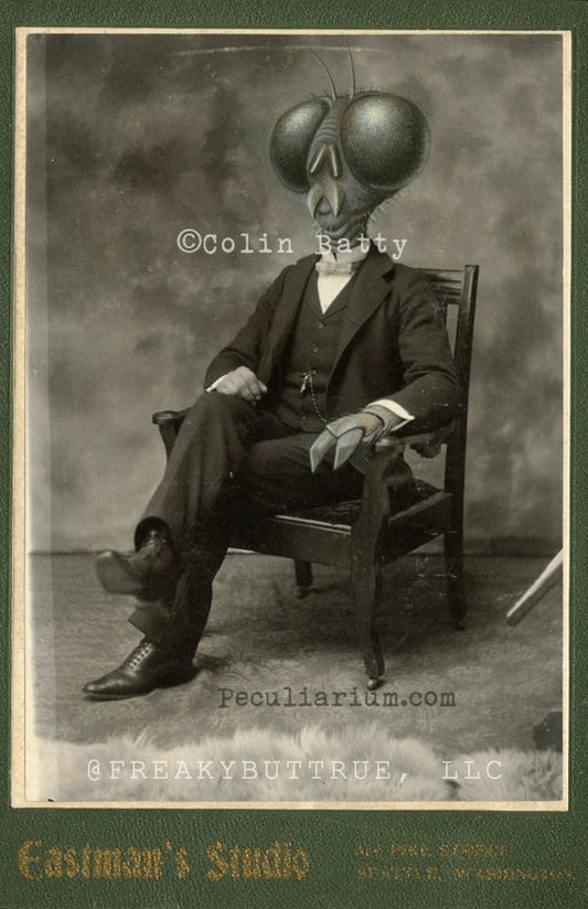 Colin Batty has contributed to Freakybuttrue and the Peculiarium for many years and graces this site with his amazing work.