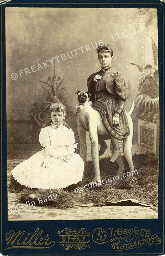 Colin Batty has contributed to Freakybuttrue and the Peculiarium for many years and graces this site with his amazing work.