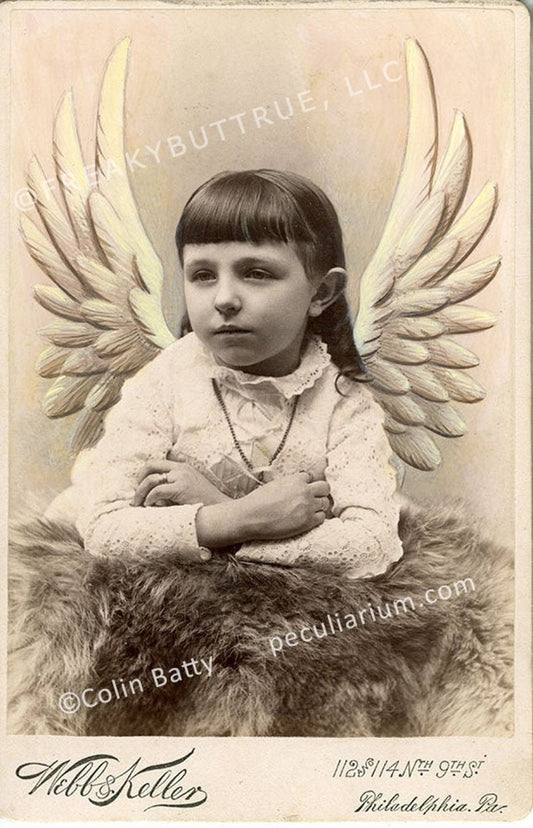 Colin Batty has contributed to Freakybuttrue and the Peculiarium for many years and graces this site with his amazing work.