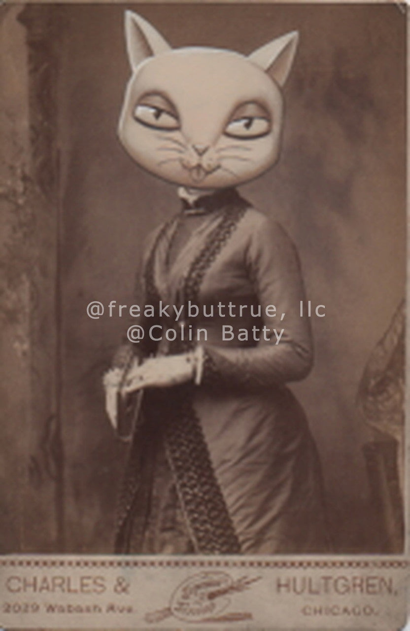 Cartoon Cat Headed Woman Print by Colin Batty