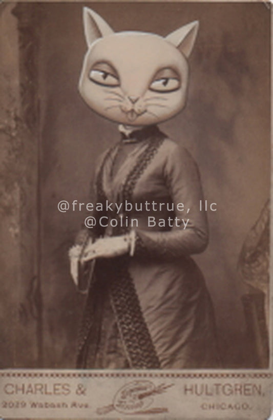 Cartoon Cat Headed Woman Print by Colin Batty