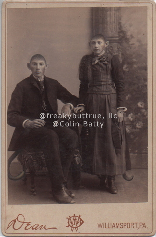 Original Cabinet Card - CC034 Politesse and Primate Instinct