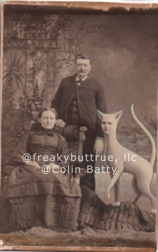 Couple with Tall Cat Lady Print by Colin Batty