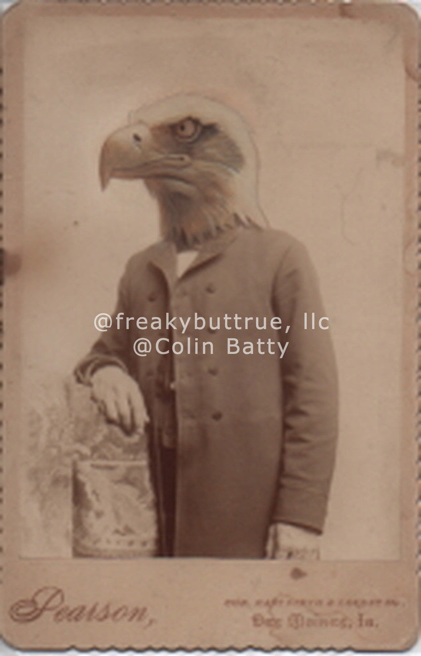 Eagle Man Print by Colin Batty