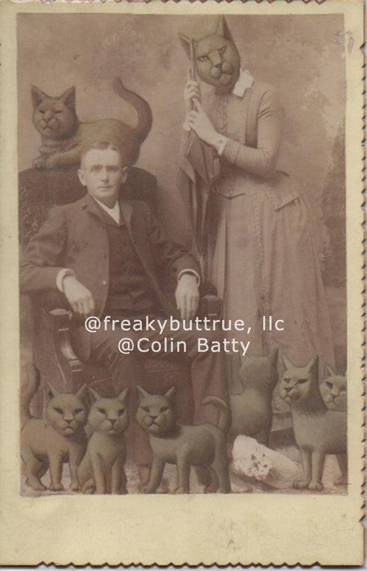 Man with Cat Wife and Kittens Print by Colin Batty