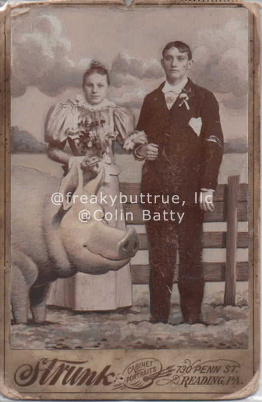 Original Cabinet Card - CC206 Man Wife and Pig