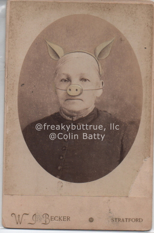 Pig Nose Lady Print by Colin Batty