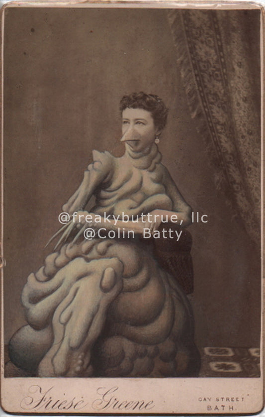 Seated Drippy Beak Lady Print by Colin Batty