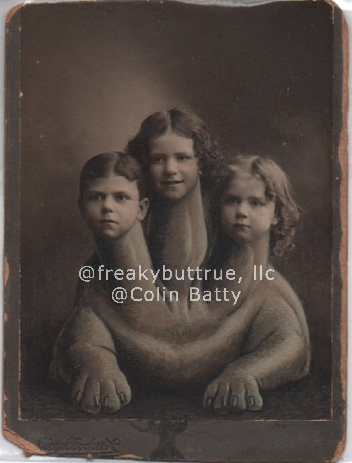 Original Cabinet Card - CC178 Three Headed Kid Creature