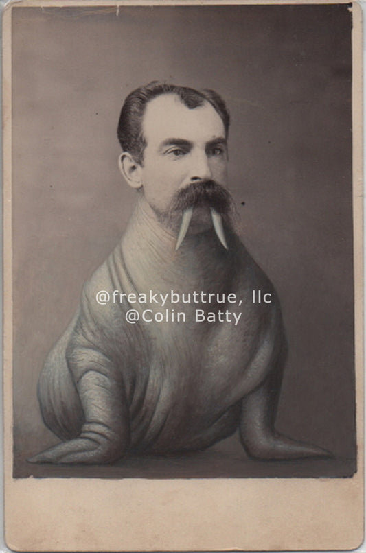 Walrus Man Print by Colin Batty
