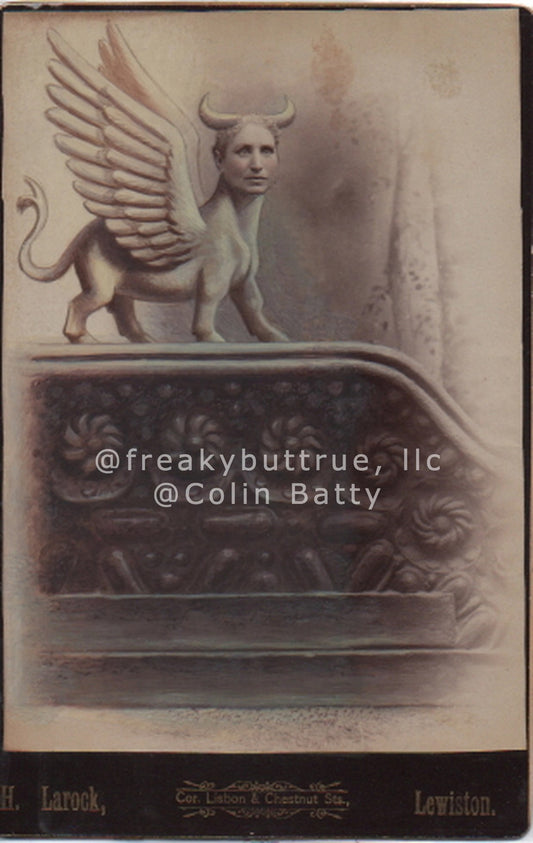 Winged Cat with Horns on Stairs Print by Colin Batty