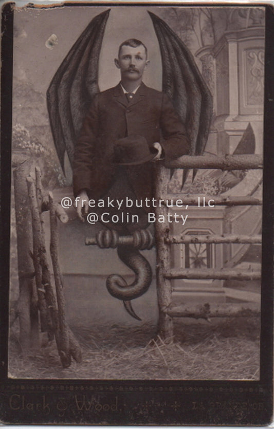 Winged Man with Tail on Fence Print by Colin Batty