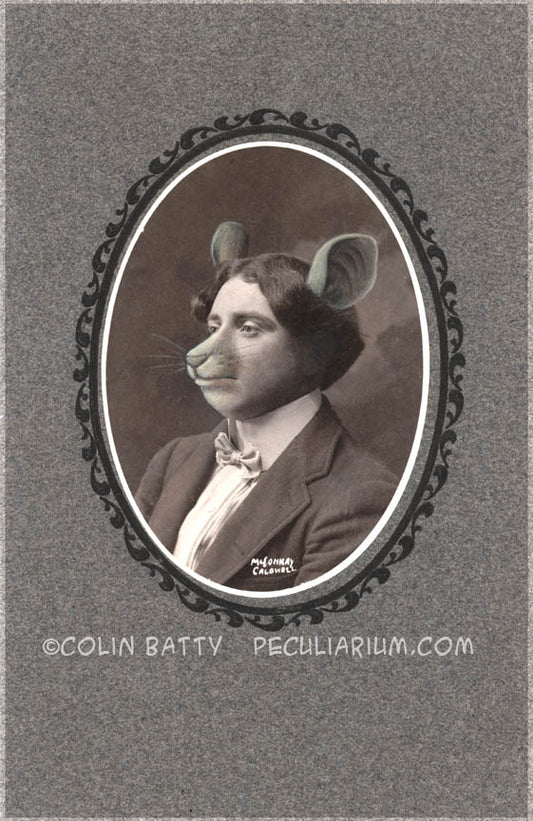 SOLD - Original Cabinet Card - CC038 - Mouseman