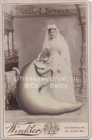 Slug Bride Print by Colin Batty