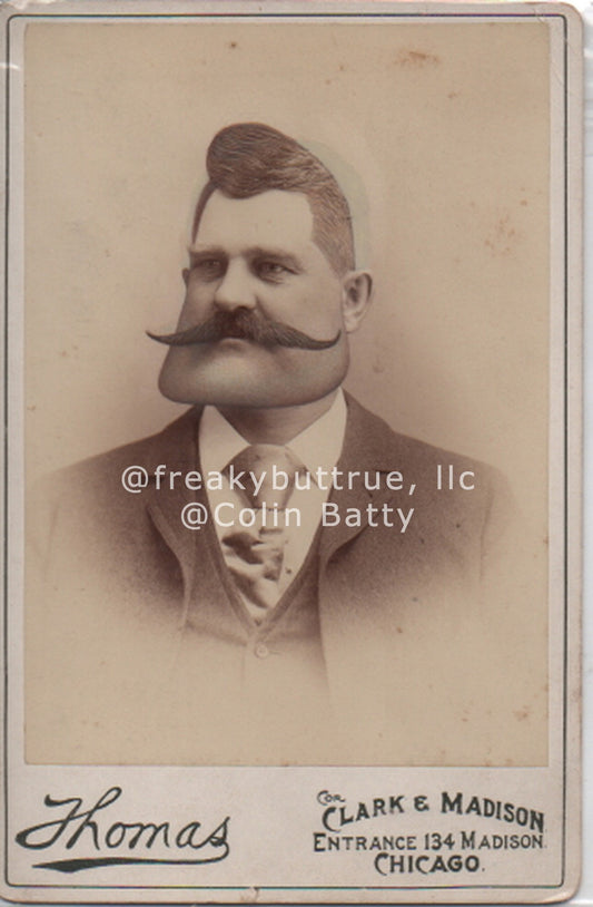 Square Jaw Man Print by Colin Batty